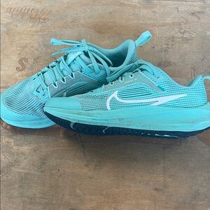 Nike Kids Aqua Blue Pegasus 40